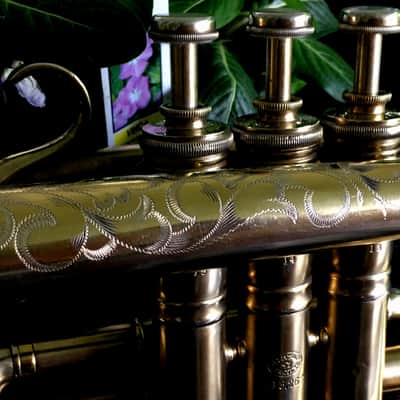 EXCELLENT SPECIAL ORDER LP CORNET F. BESSON BREVETE NEW CREATION 1923 GOLD PLATED LOVELY ENG. TO THE TOP / GREAT COMPRESSION image 9