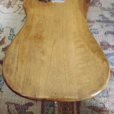 1973 Fender Precision Bass With Fretless Rosewood Fingerboard image 15