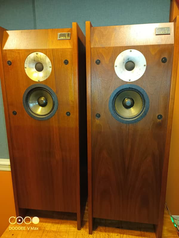 Cervin Vega 12TR 1970 - Oiled walnut image 1