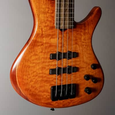 Roscoe Century Standard Plus Fretless image 2