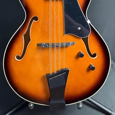 Gold Tone Mandocello 8-String Acoustic-Electric Vintage Sunburst w/ Hardshell Case image 1
