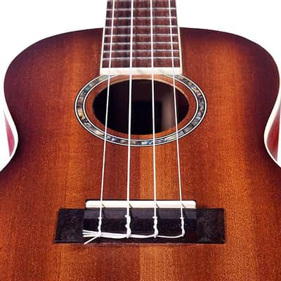 15CM-E Edge Burst Acoustic-Electric Concert Ukulele - Open Box image 2