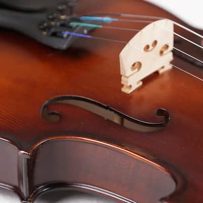 Strumenti a Corde 2500 Viola 12" - Solid Wood, Hand-Carved Spruce and Maple with High-Grade Case and Bow image 2