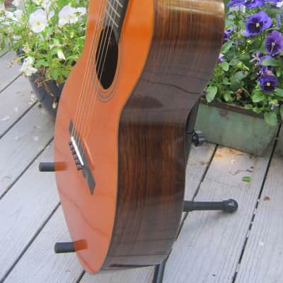 John C. Haynes Bay State Brazilian Rosewood Guitar image 16