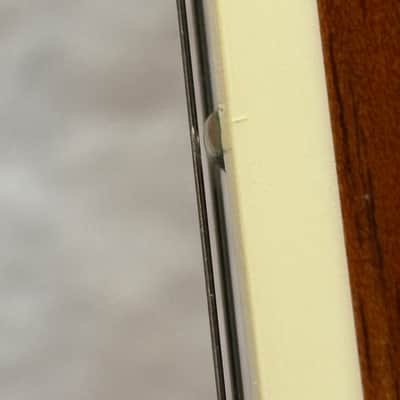 Taylor 850 12-String from 1989 image 10
