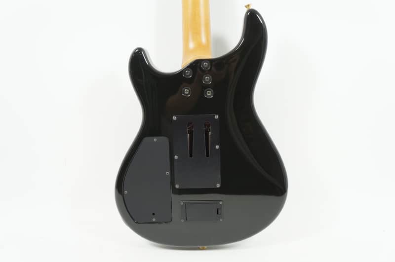 Fernandes APG-85S FULL MODE SUSTAINER Mahogany Black Gold FRT SSH