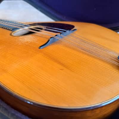 1919 Martin Mandolin {style A}  - excellent condition image 3