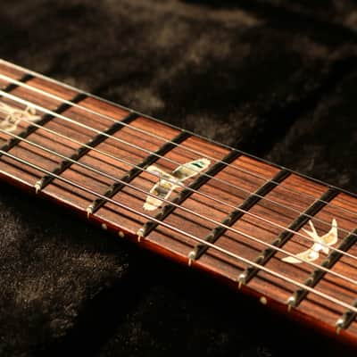 PRS DGT David Grissom Tremolo Signature 10-Top 2024 - McCarty Sunburst image 10
