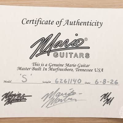 Mario Martin Guitars Ash/Paulownia S-Style w/ Brickhouse Pickups – Black image 11