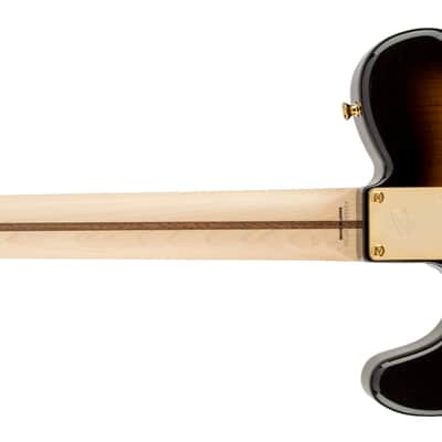 Fender Richie Kotzen Telecaster Maple FB Brown Sunburst image 2