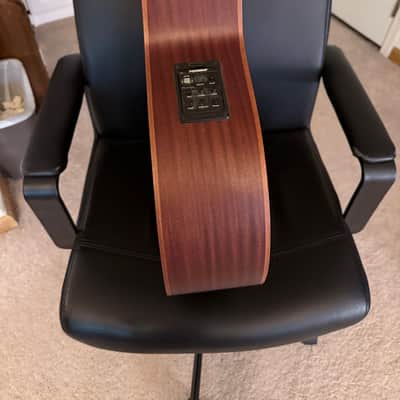 Spector Timbre 2010s - Walnut image 8