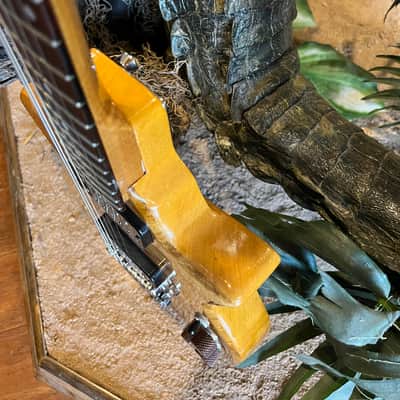 Custom Built Ray Gun J5 Obeche / Maple Burl body Maple / Ebony Neck DiMarzio PUs image 11