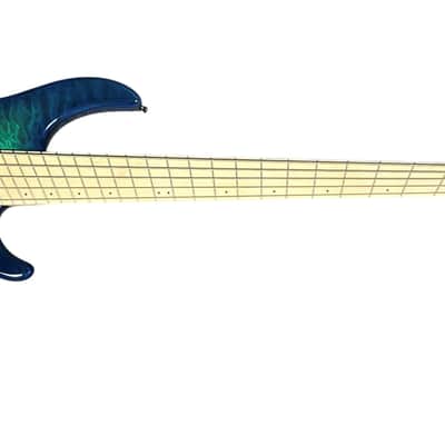 Dingwall Combustion 5 Whalepool Burst / Maple *IN STOCK! image 8