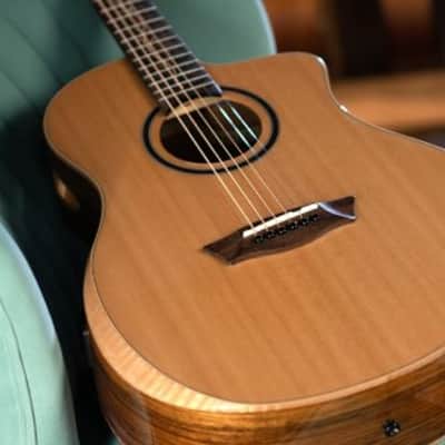 Washburn BTSC40SCE | Bella Tono Suprema Acoustic-Electric Guitar, Natural Gloss. New with Full Warranty! image 23