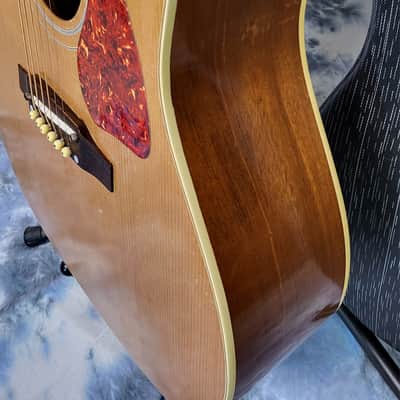 Video Demo Vintage 1965 Gibson J50 Dreadnought New Strings Pro Setup Hard Shell Case image 10