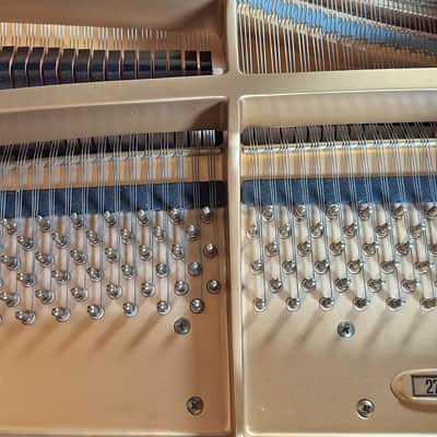 Schimmel Model 208 Limited Edition 89/250 1988 - Ebony Polish imagen 4