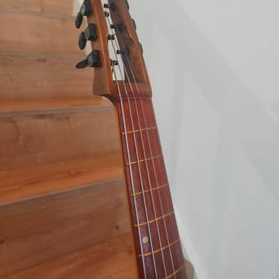 A.Loziakov Arpeggione, bowed guitar 2024 image 11