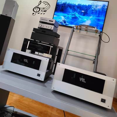 VTL MB-125 COPPIA FINALI MONO MONOBLOCK VALVOLARI TUBE POWER AMP VTL- MB125  Silver image 4
