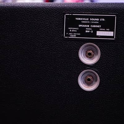 Traynor BW-2 8 ohms 100W speaker PA cabinet image 4