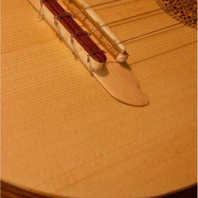 Roosebeck UBTVG | Tenor Baroq-ulele Variegated w/ Tuners. New with Full Warranty! image 4