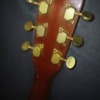 Vintage 1970s Tokai Model 35 Cedar Acoustic Guitar Hard Case Japan image 12