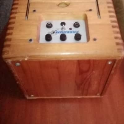 Electro Harmonix Freedom Amp. Battery Powered (Rechargeable). Buskers Dream Amplifier image 3