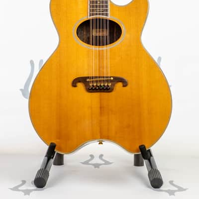 Daion Year Series '81 Gazelle / 12 String Electric Acoustic image 1