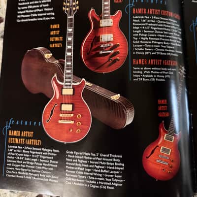 Hamer Catalog 1999 25th anniversary artist studio standard phantom Rick Nielsen slammer image 3