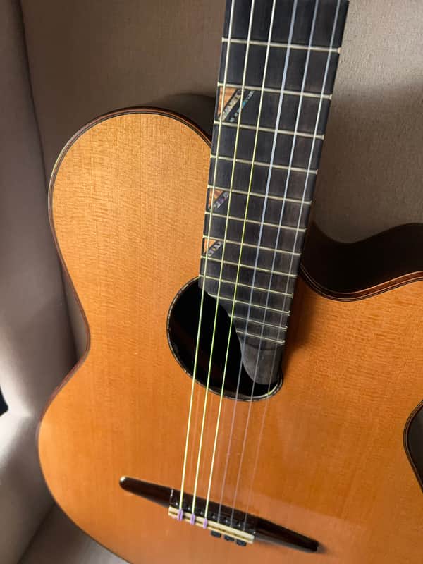 Paul McGill Super Ace Nylon Classical Cutaway Brazilian Rosewood BAM Case image 1