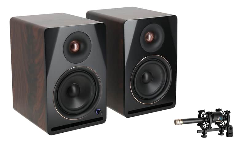 Se Electronics RN17 Recording Studio Microphone w/Changeable Capsule+Monitors image 1