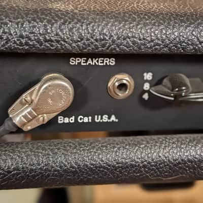 Bad Cat Black Cat 15 1x12" 15-Watt Guitar Combo 2010s - Black image 8
