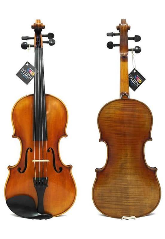 D'Luca Strauss 600 Stanza Violin 4/4 with SKB Molded Case, Dominant Strings and Tuner image 1