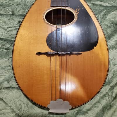 1920's Weymann Mandolute image 19