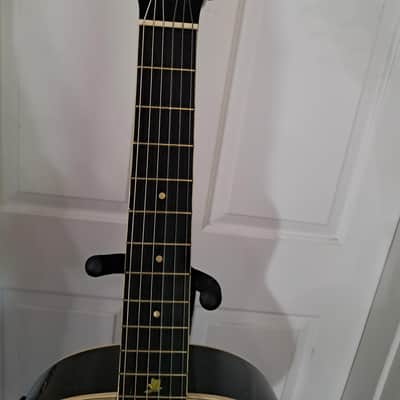 Esteban Limited Edition Spanish Rosas A/E Classical Guitar image 8