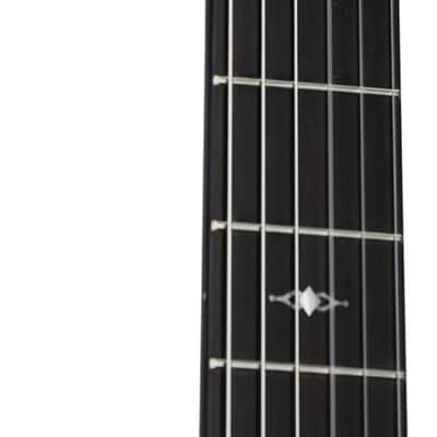 Taylor 312ce-N Grand Concert Classical Acoustic-Electric Guitar (with Case) image 5