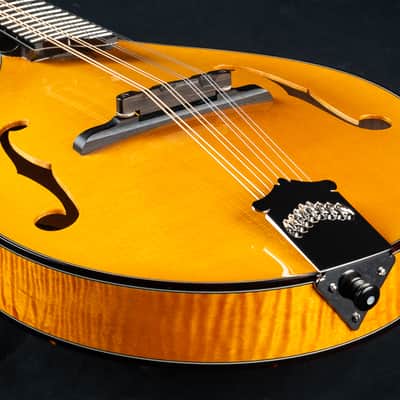 Collings MT2 Honey Amber Adirondack Spruce and Flamed Maple Mandolin NEW image 13