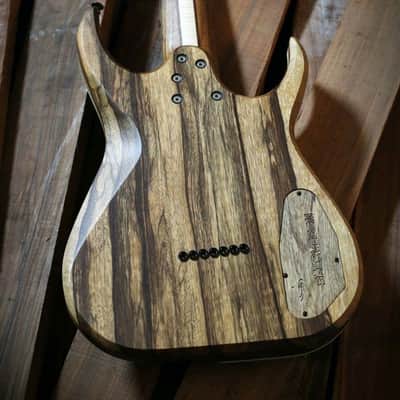 Free Worldwide Shipping! New Skervesen Raptor 7 Lefty Lefthand 7 string Lefthanded Electric Guitar image 11