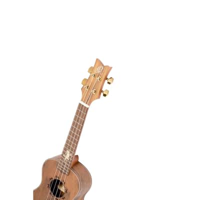 Ortega LIZARD-CC-GBL - Concert Acoustic-Electric Ukulele - Lizard Series image 7
