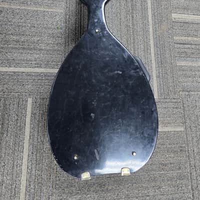 Oud 11 String w/Pickup image 6