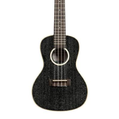 KALA - All Solid Salt & Pepper Doghair Mahogany Concert Ukulele With Bag image 2