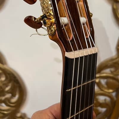 Ricardo Sanchis Carpio Flamenco Negra 2016 image 15