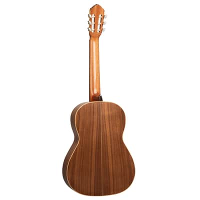 Ortega R20GWN Traditional Series Solid Cedar Top Mahogany Neck Nylon 6-String Classical Acoustic Guitar w/Gig Bag image 7