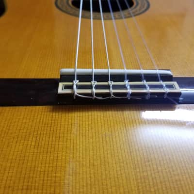 Fernandes/Takamine GC25 in 1975 image 8