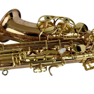Yanagisawa AWO20UL Unlacquered Bronze Elite Alto Saxophone New In Box! image 22
