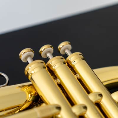 Yamaha YFH-8310ZII Bobby Shew Bb Flugelhorn (SN 4741xx) image 7