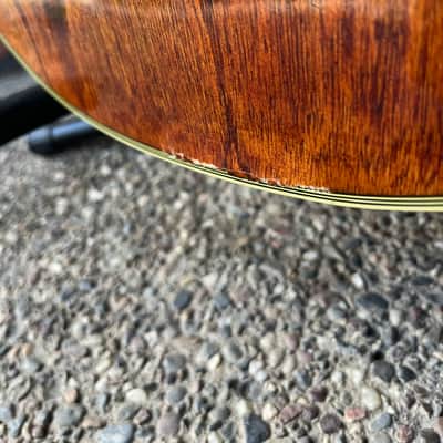 Cort Single cut 1986 - Burst image 8