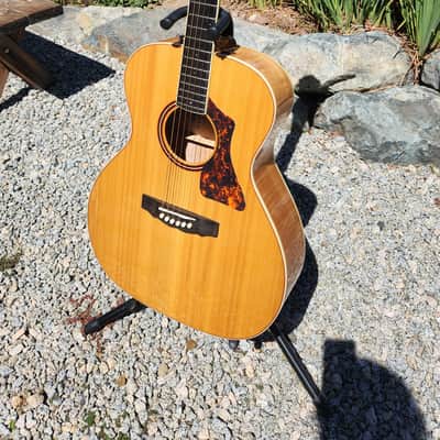 Gorgeous Guild CV-2 Maple and Spruce Guitar CV-2 Maple and Spruce 2007 image 1