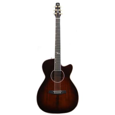 Seagull Artist Mosaic Concert Hall CW GT EQ