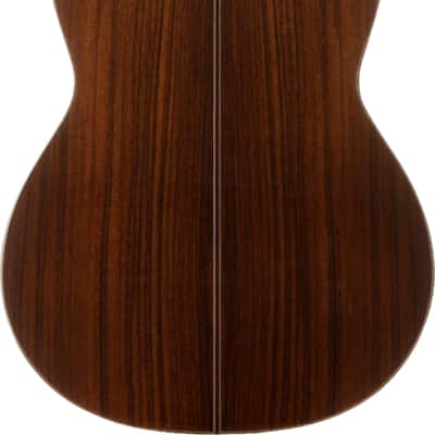 Cordoba C10 SP Classical Guitar, Solid Spruce Top image 3