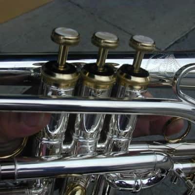 Berkeleywind Bb Silver Cornet image 5
